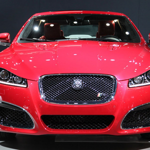 The red jaguar