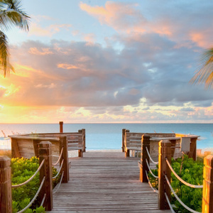 Dream Trip