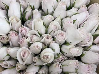 🥀💐