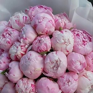 Give girls flowers