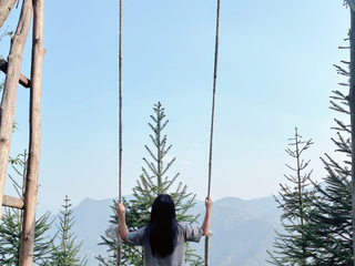My Photos