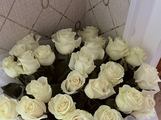 White roses