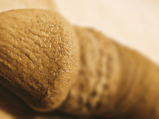 Mmmm the most fucking vulgar and charming dick 🥵🥵