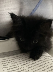 Dbdjcjs My Photos photo 12366648