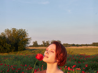 In the poppy field