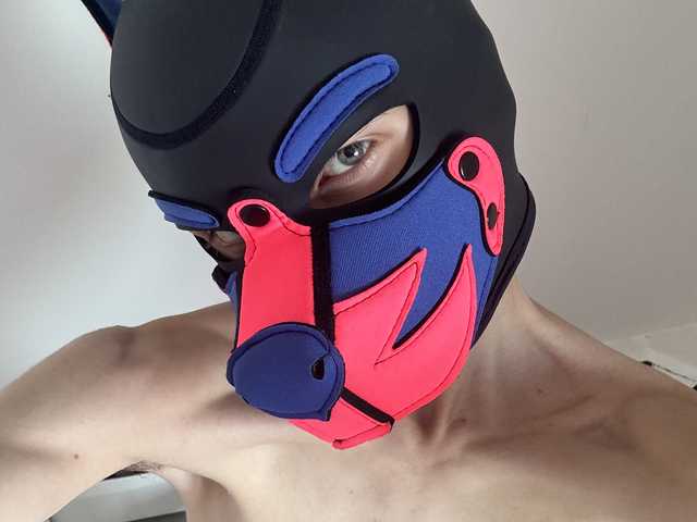 mellpupp