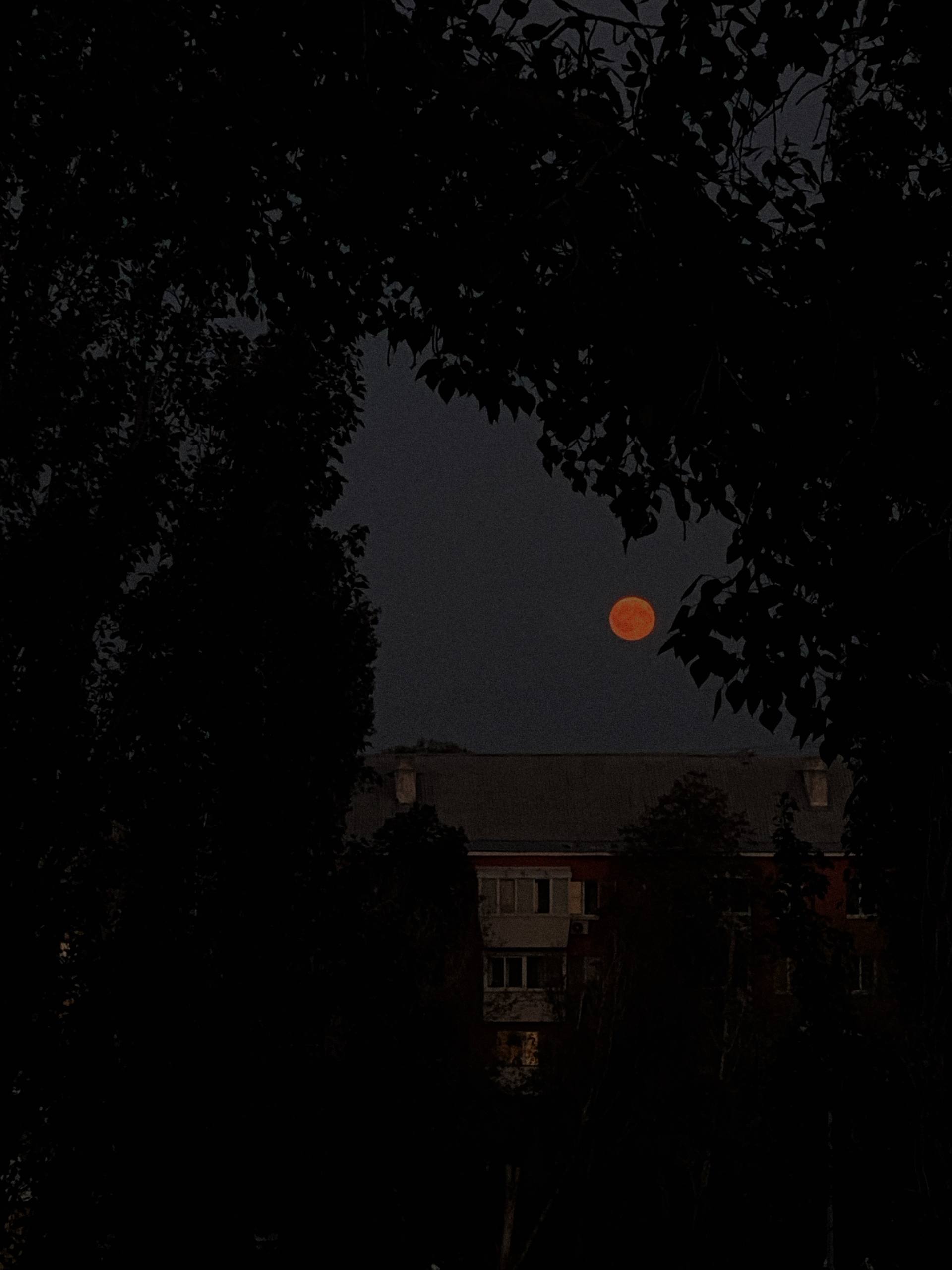 elenaaddiction в голове полуночный мрак чистый разум теряет маяк image: 1