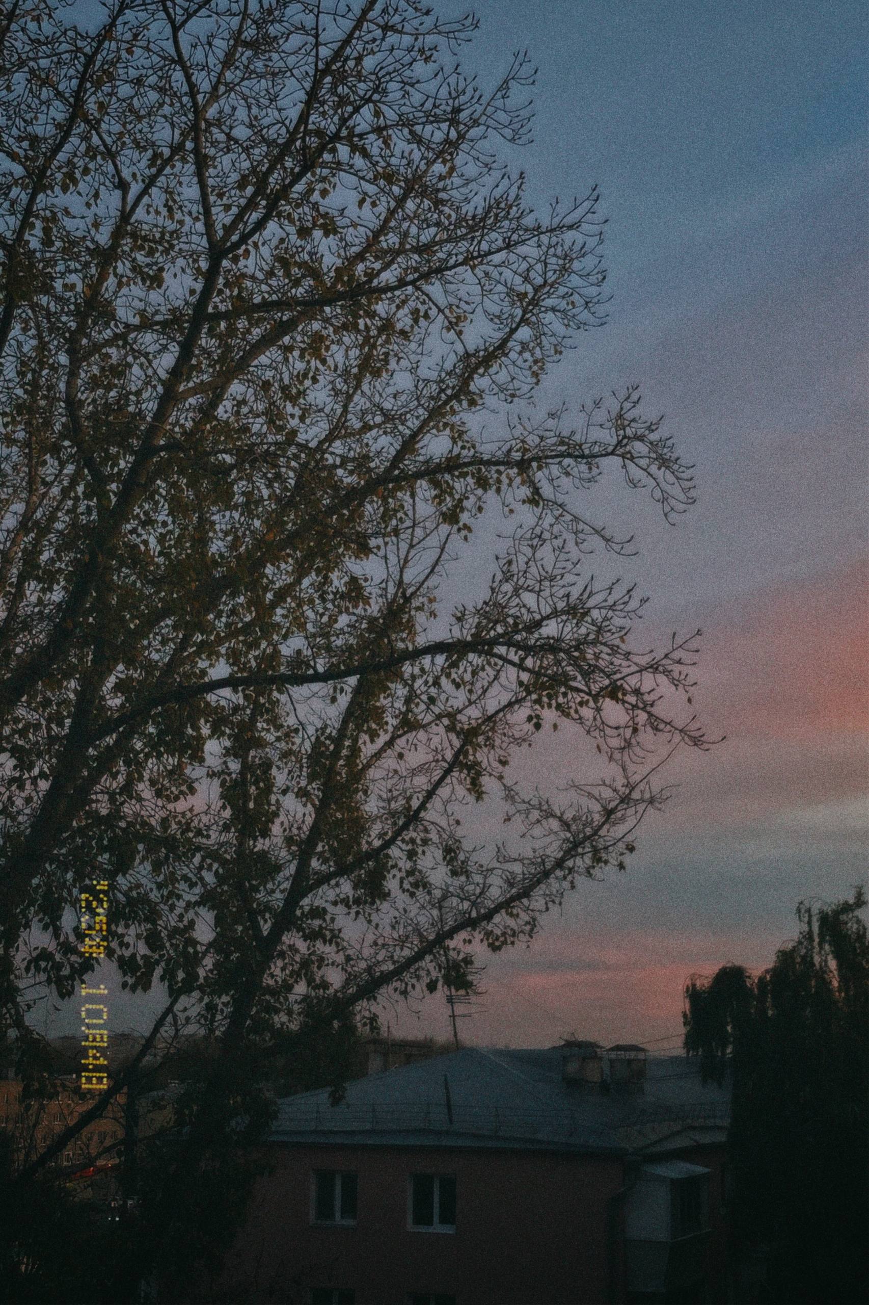 elenaaddiction turn your soul inside out image: 3