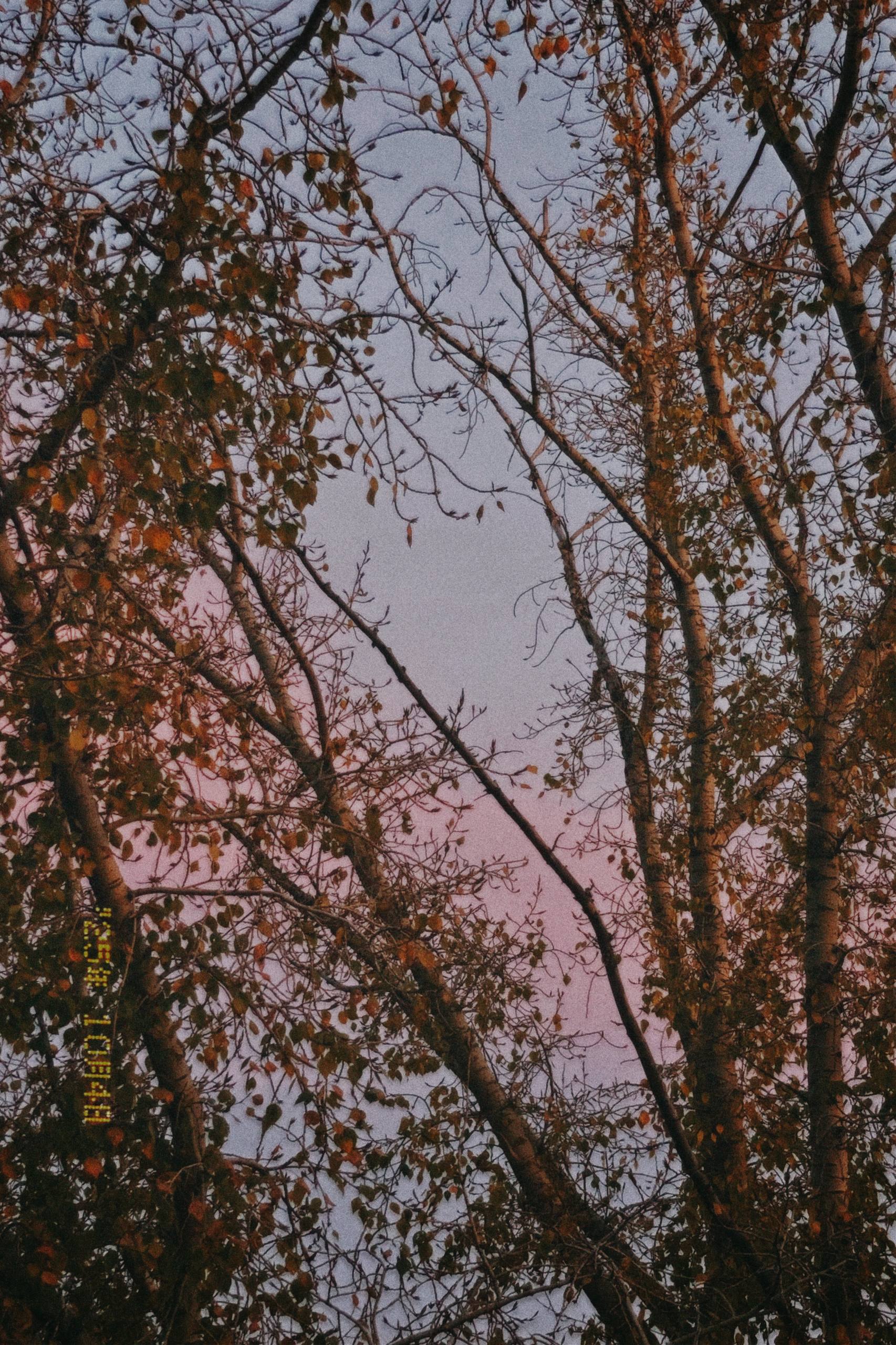 elenaaddiction turn your soul inside out image: 4