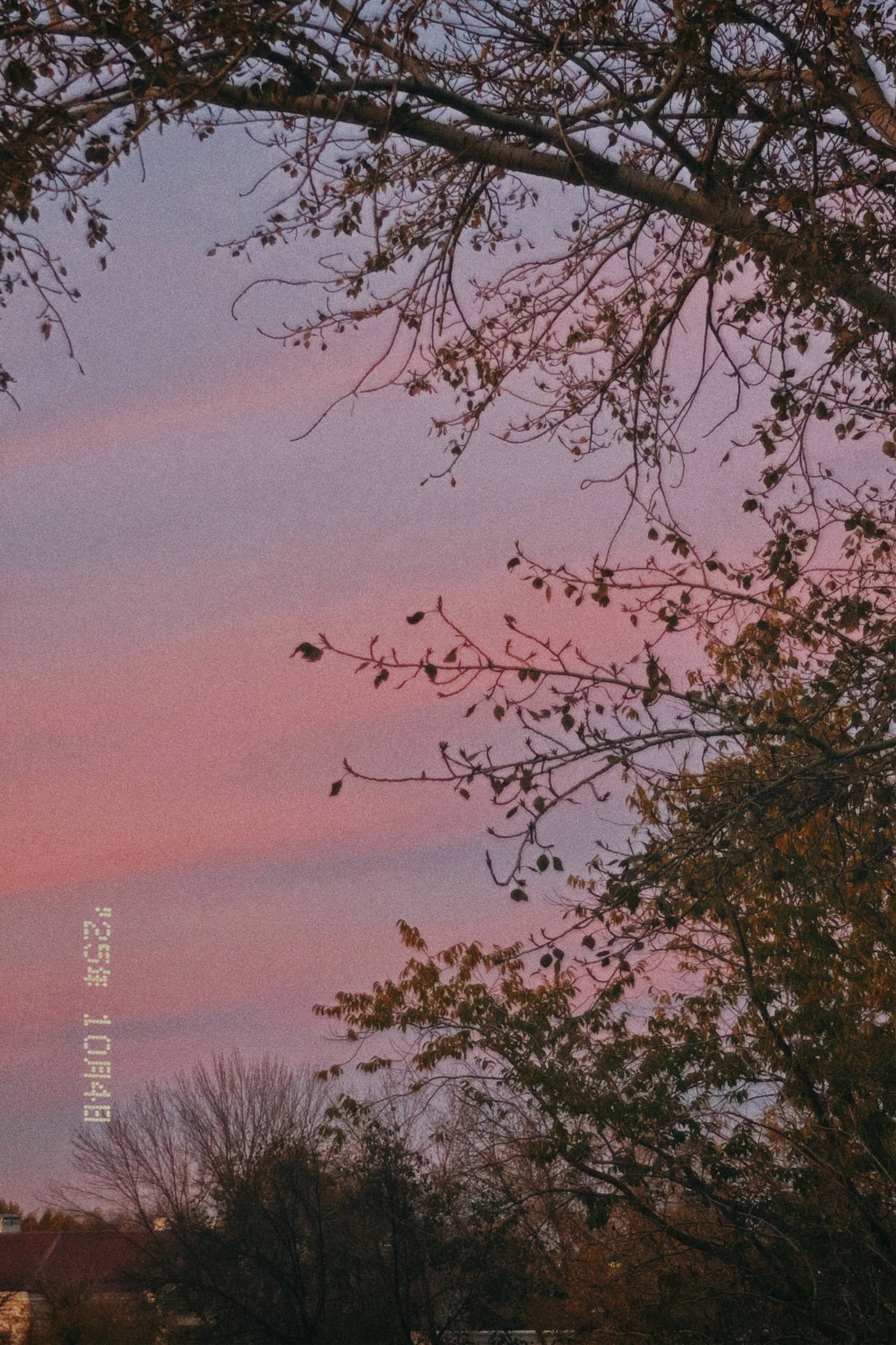 elenaaddiction turn your soul inside out image: 1