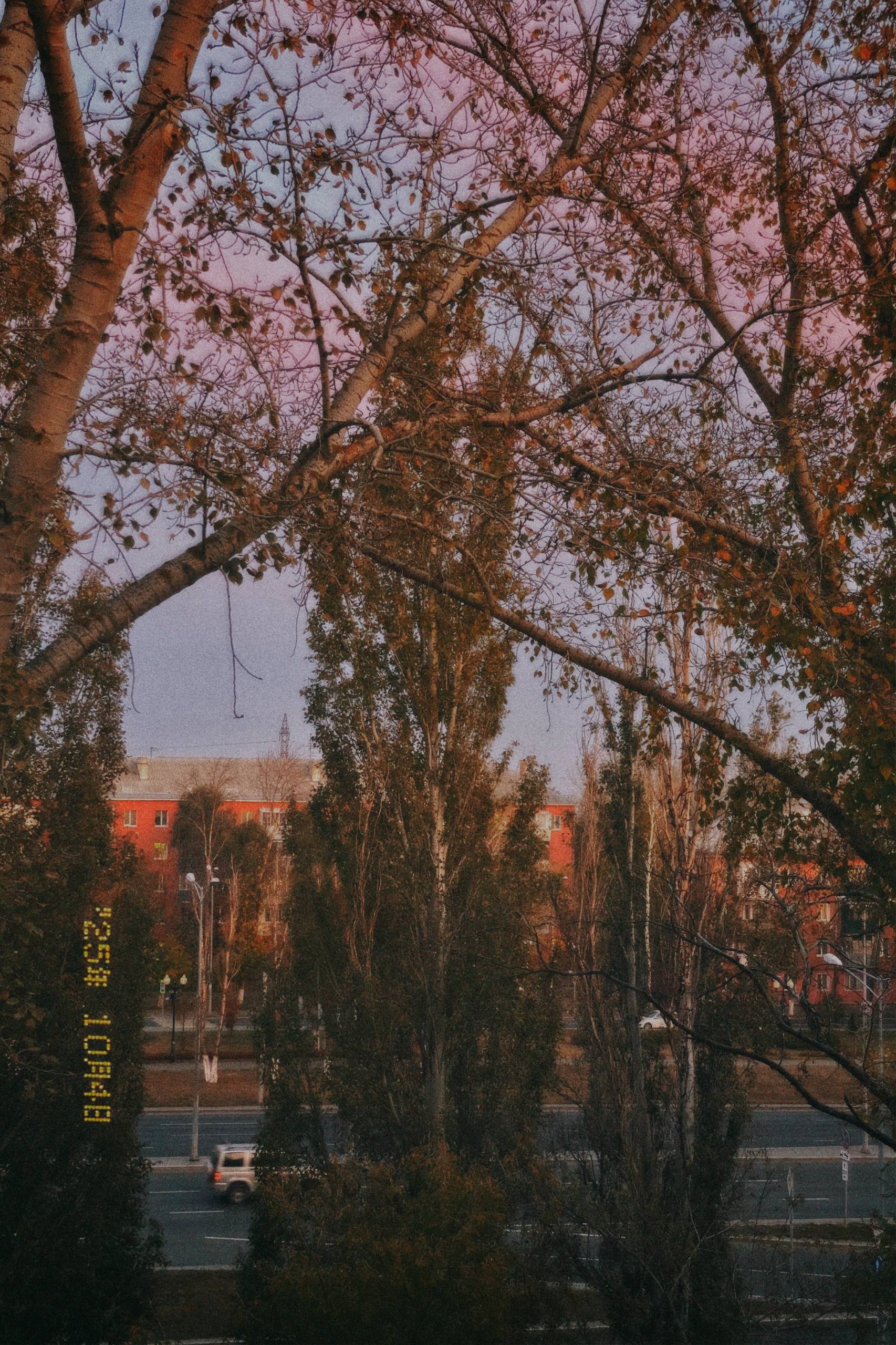 elenaaddiction turn your soul inside out image: 2