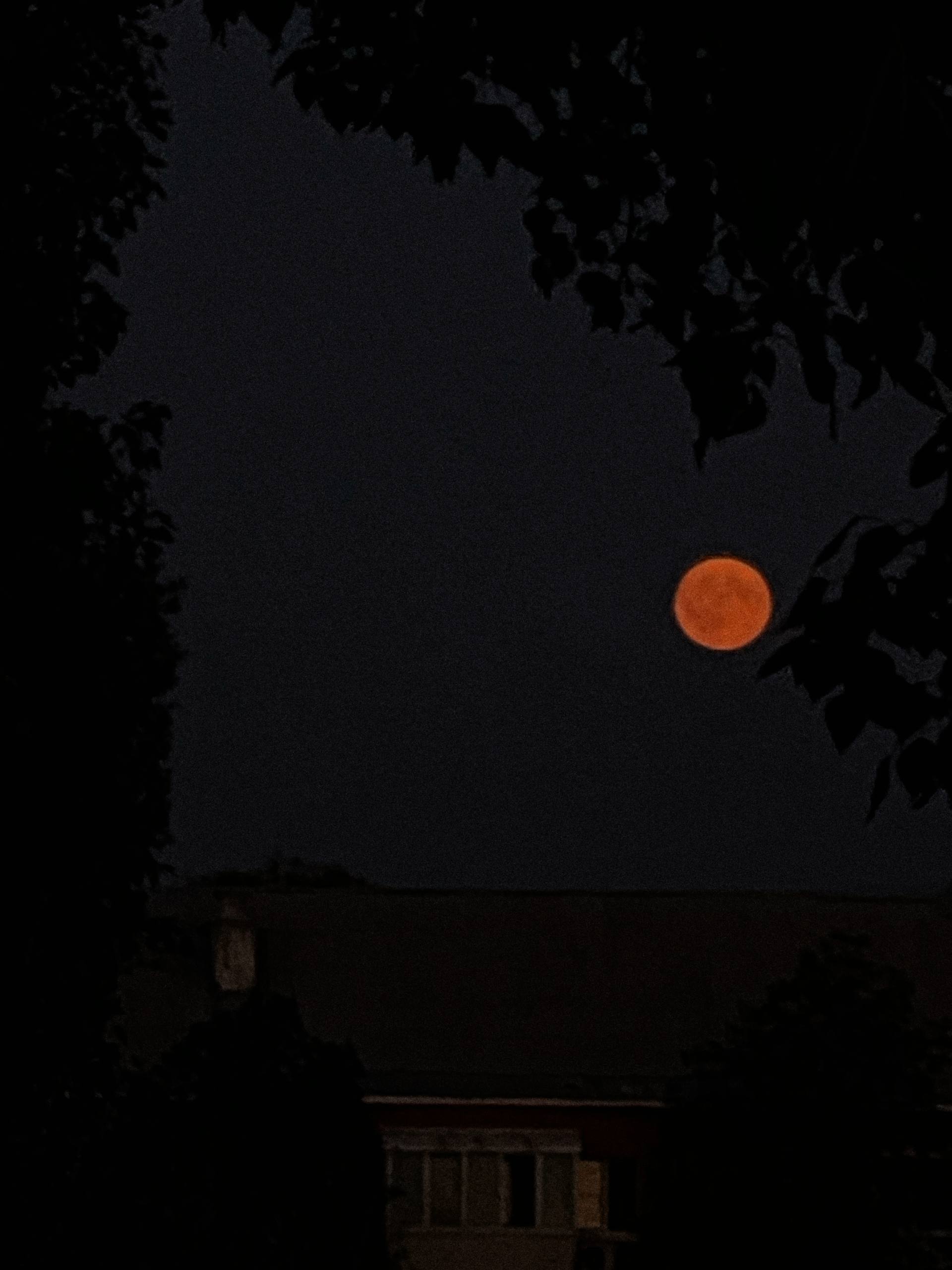 elenaaddiction в голове полуночный мрак чистый разум теряет маяк image: 2