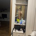 Liltjay