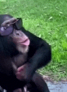 toprom My Photos photo 14829600