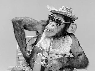 ГЛЕНДЖИК 2017