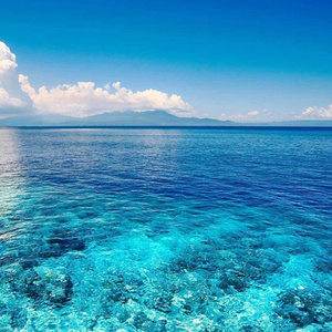 Trip to the sea