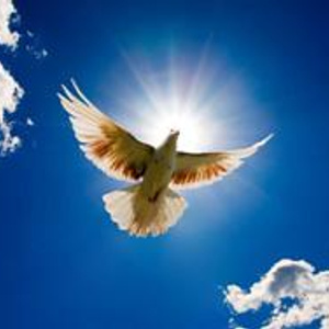 World peace