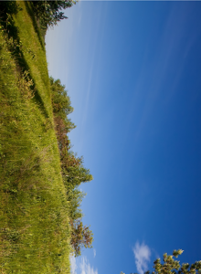 Golfison My Photos photo 15466075