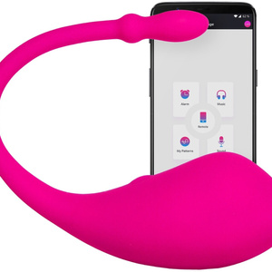 Toy