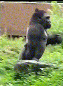 __Palyanychka__ My Photos photo 14508937