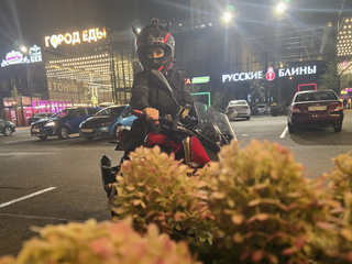 Moto theme