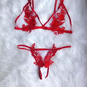 Lingerie to model it for you