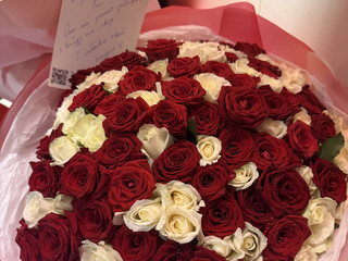 My Photos