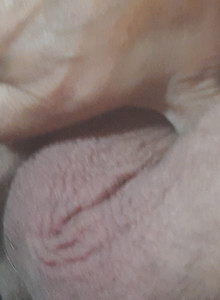 happywanker Fuck me daddy  photo 14906598