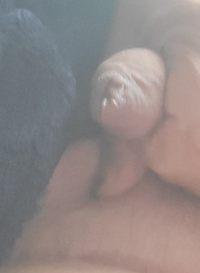 happywanker Big balls  photo 15081304