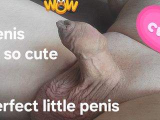Little Stiffy 
