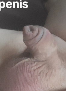 happywanker Little Joey  photo 15315261