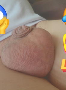 happywanker Little Joey  photo 15330851