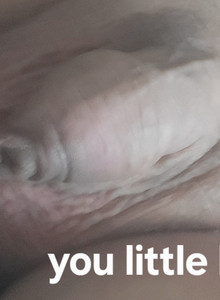happywanker Little Joey  photo 15406273