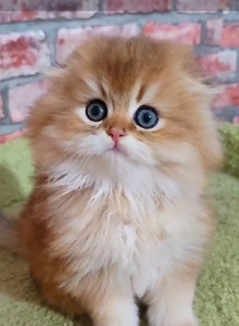 Stas12on My Photos photo 12707935