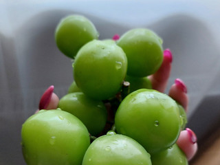 My Photos