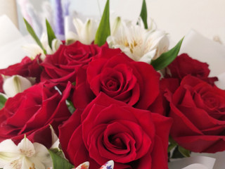 My Photos