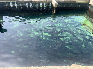 Something of my vacation 🏖🌺☀