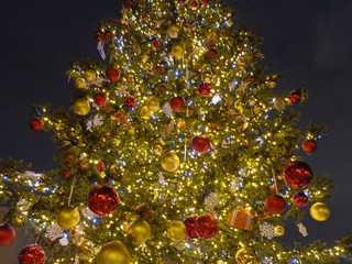 My Photos