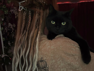 🐈‍⬛MY SEMYON🐈‍⬛