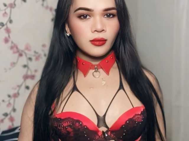 SophiaNavigar