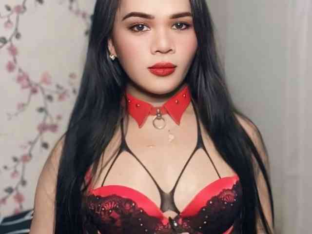 SophiaNavigar