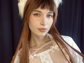 Modèle webcam foxy-jpg