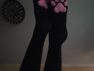 Legs