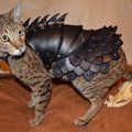 DenisPetrov1