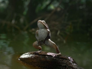 My Photos
