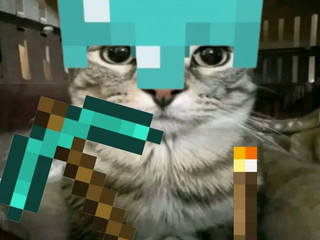 My Photos