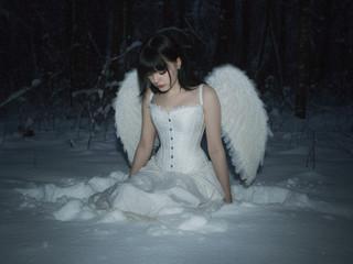 My Photos