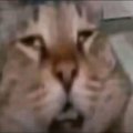 Someone_Sex