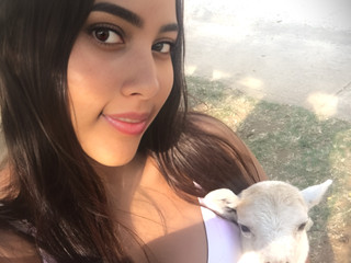 18
