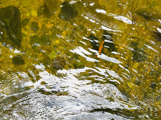 🍃Disconnecting to connect🍃